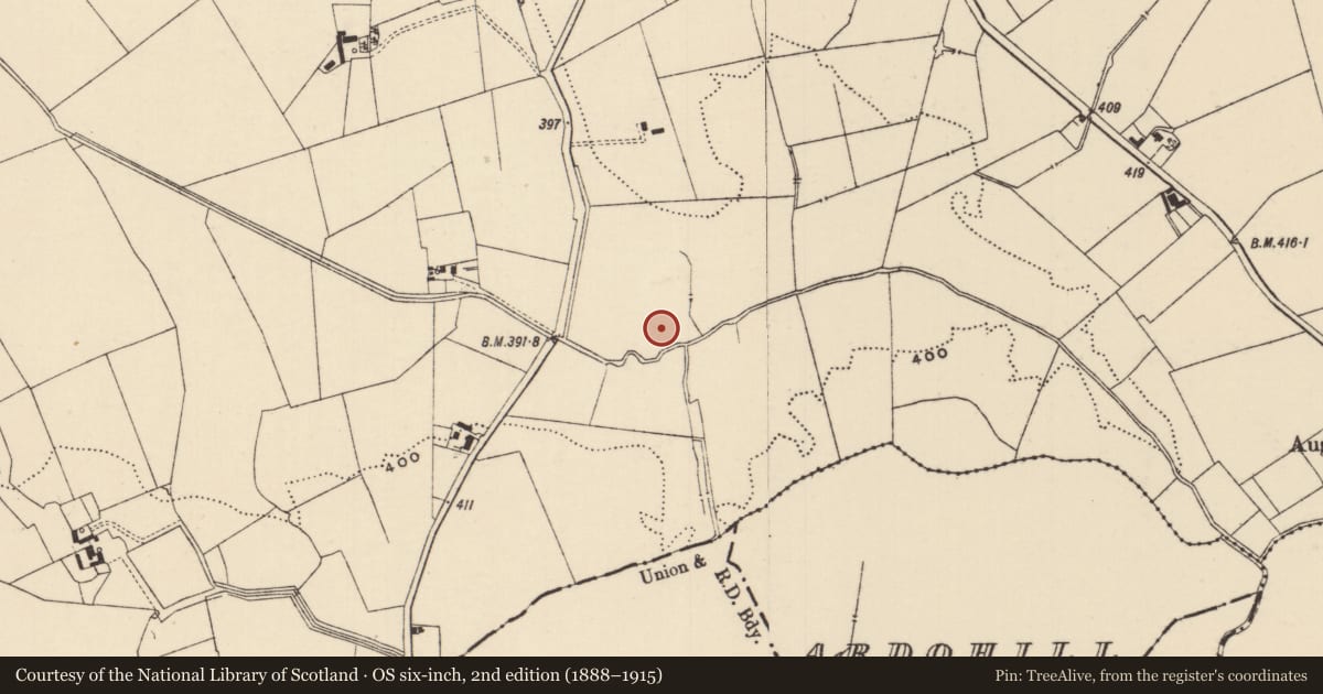Ordnance Survey six-inch map, 2nd edition (1888–1915) covering the location of Barrow - ring-barrow, Moanmore (Emly Par.), County Tipperary South, with a pin at the register's coordinates