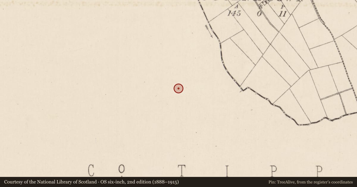 Ordnance Survey six-inch map, 2nd edition (1888–1915) covering the location of Barrow - unclassified, Chantersland, County Tipperary South, with a pin at the register's coordinates