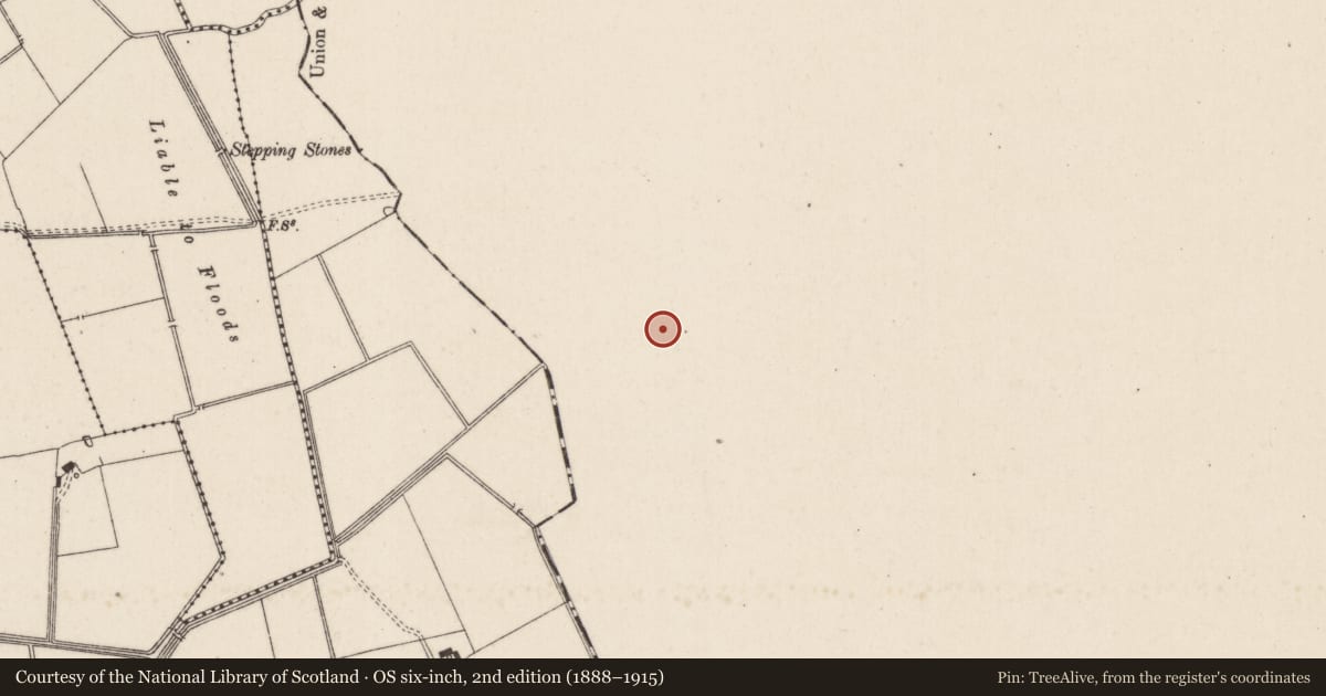 Ordnance Survey six-inch map, 2nd edition (1888–1915) covering the location of Barrow - ring-barrow, Ballyvistea, County Tipperary South, with a pin at the register's coordinates