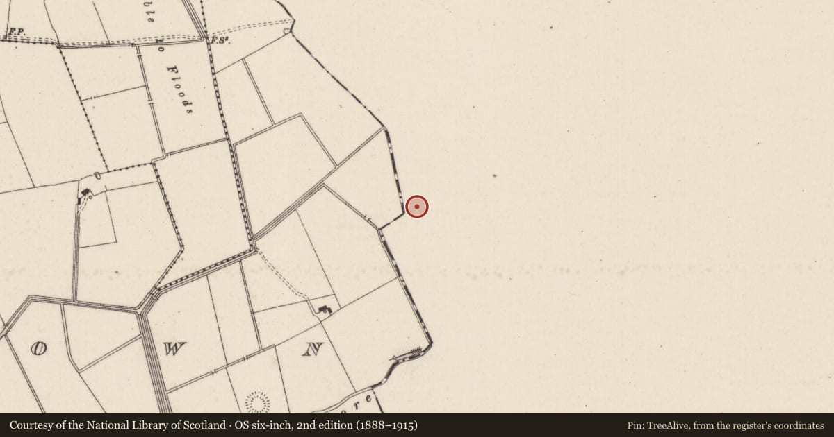 Ordnance Survey six-inch map, 2nd edition (1888–1915) covering the location of Barrow - ring-barrow, Ballyvistea, County Tipperary South, with a pin at the register's coordinates