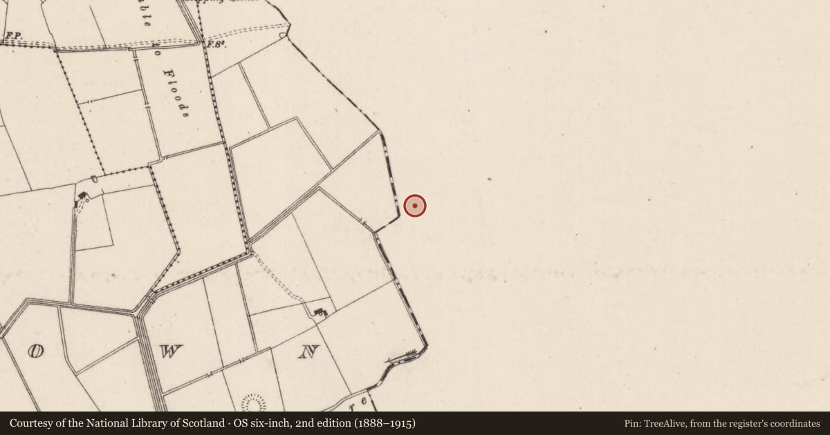 Ordnance Survey six-inch map, 2nd edition (1888–1915) covering the location of Barrow - ring-barrow, Ballyvistea, County Tipperary South, with a pin at the register's coordinates