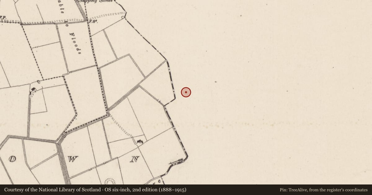 Ordnance Survey six-inch map, 2nd edition (1888–1915) covering the location of Barrow - ring-barrow, Ballyvistea, County Tipperary South, with a pin at the register's coordinates
