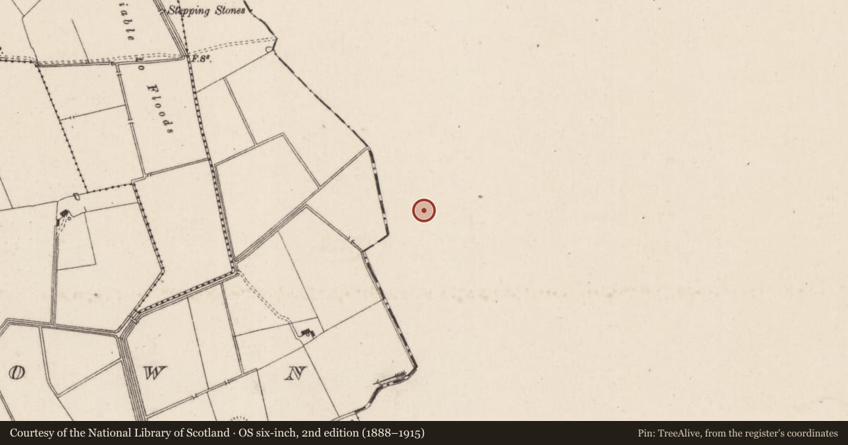 Ordnance Survey six-inch map, 2nd edition (1888–1915) covering the location of Barrow - ring-barrow, Ballyvistea, County Tipperary South, with a pin at the register's coordinates