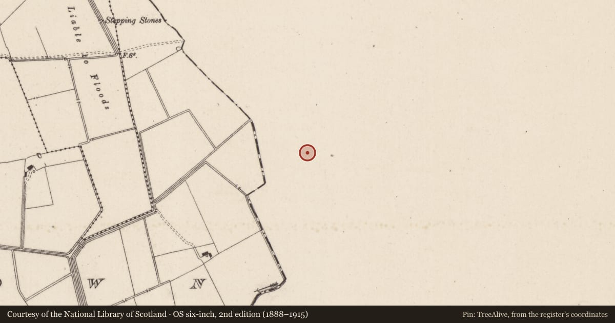 Ordnance Survey six-inch map, 2nd edition (1888–1915) covering the location of Barrow - ring-barrow, Ballyvistea, County Tipperary South, with a pin at the register's coordinates