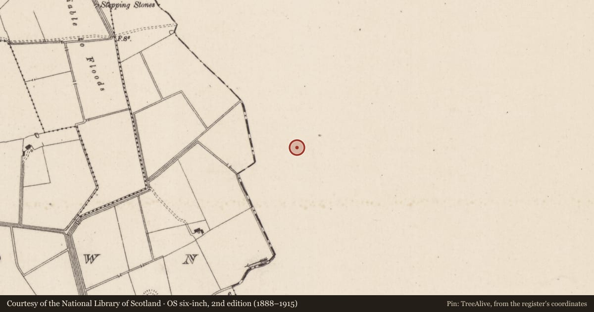 Ordnance Survey six-inch map, 2nd edition (1888–1915) covering the location of Barrow - ring-barrow, Ballyvistea, County Tipperary South, with a pin at the register's coordinates