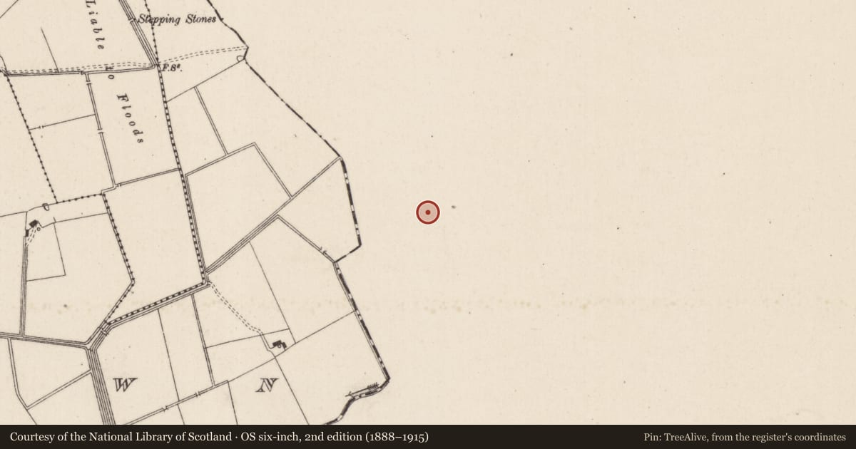 Ordnance Survey six-inch map, 2nd edition (1888–1915) covering the location of Barrow - ring-barrow, Ballyvistea, County Tipperary South, with a pin at the register's coordinates