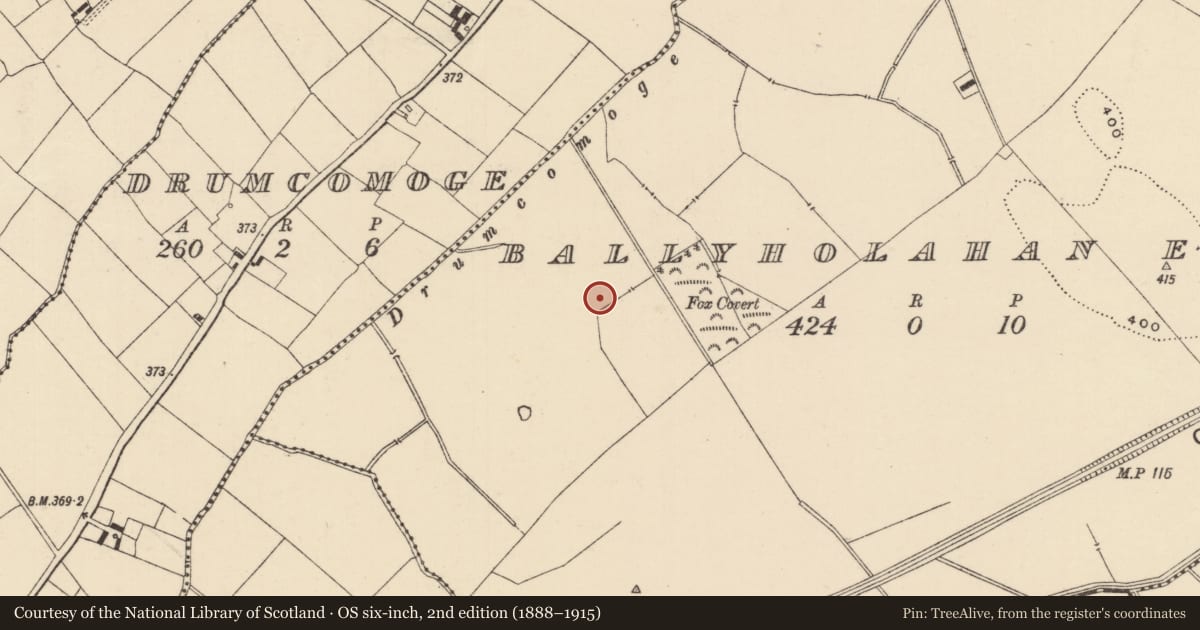 Ordnance Survey six-inch map, 2nd edition (1888–1915) covering the location of Barrow - ditch barrow, Ballyholahan East, County Tipperary South, with a pin at the register's coordinates