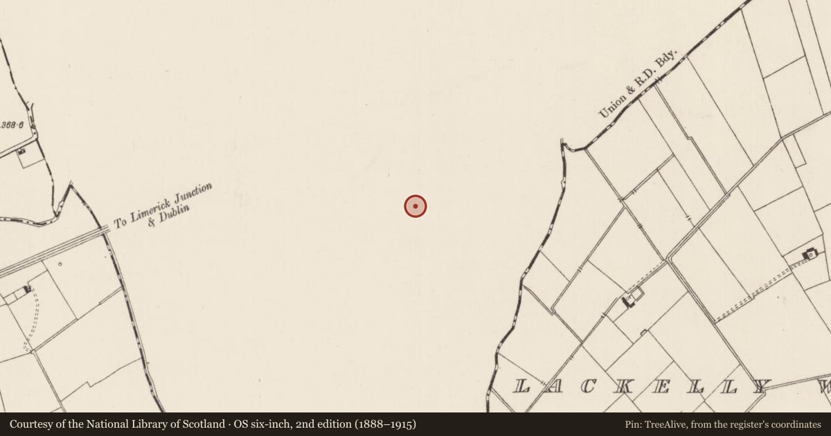 Ordnance Survey six-inch map, 2nd edition (1888–1915) covering the location of Moated site, Ballyholahan West, County Tipperary South, with a pin at the register's coordinates