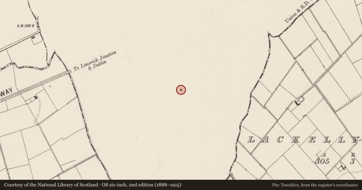 Ordnance Survey six-inch map, 2nd edition (1888–1915) covering the location of Enclosure, Ballyholahan West, County Tipperary South, with a pin at the register's coordinates