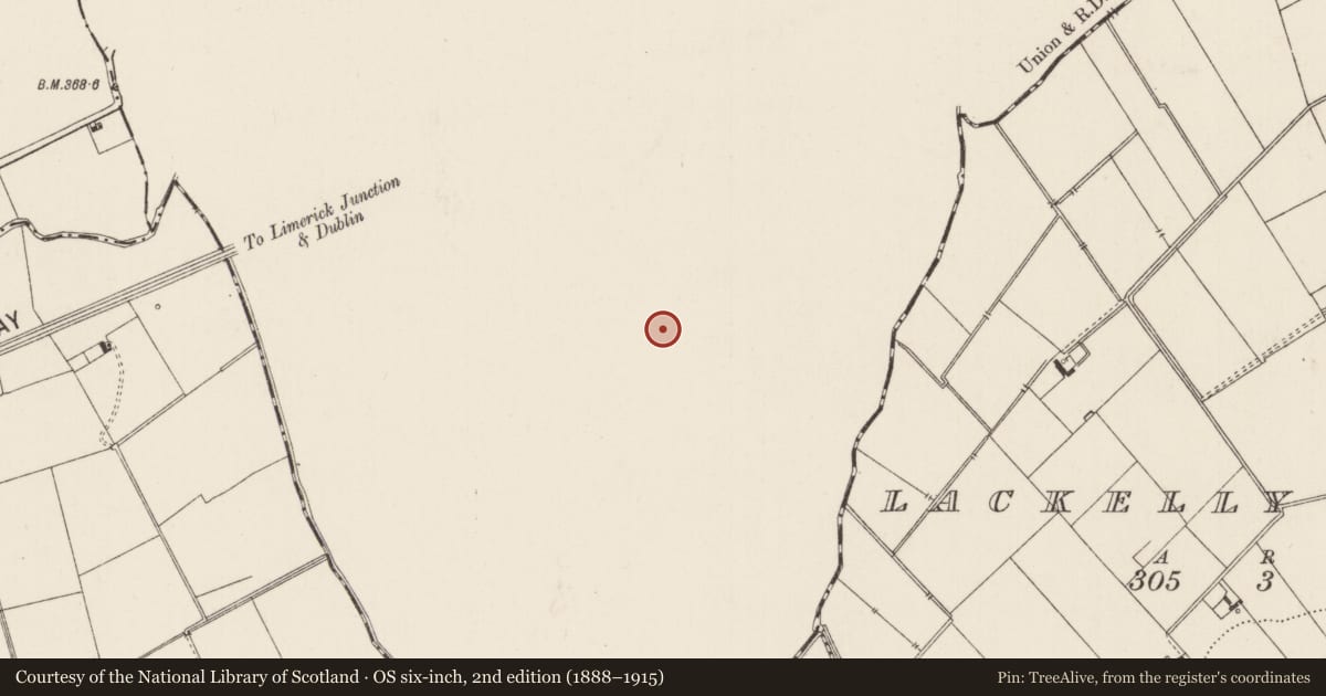 Ordnance Survey six-inch map, 2nd edition (1888–1915) covering the location of Enclosure, Ballyholahan West, County Tipperary South, with a pin at the register's coordinates