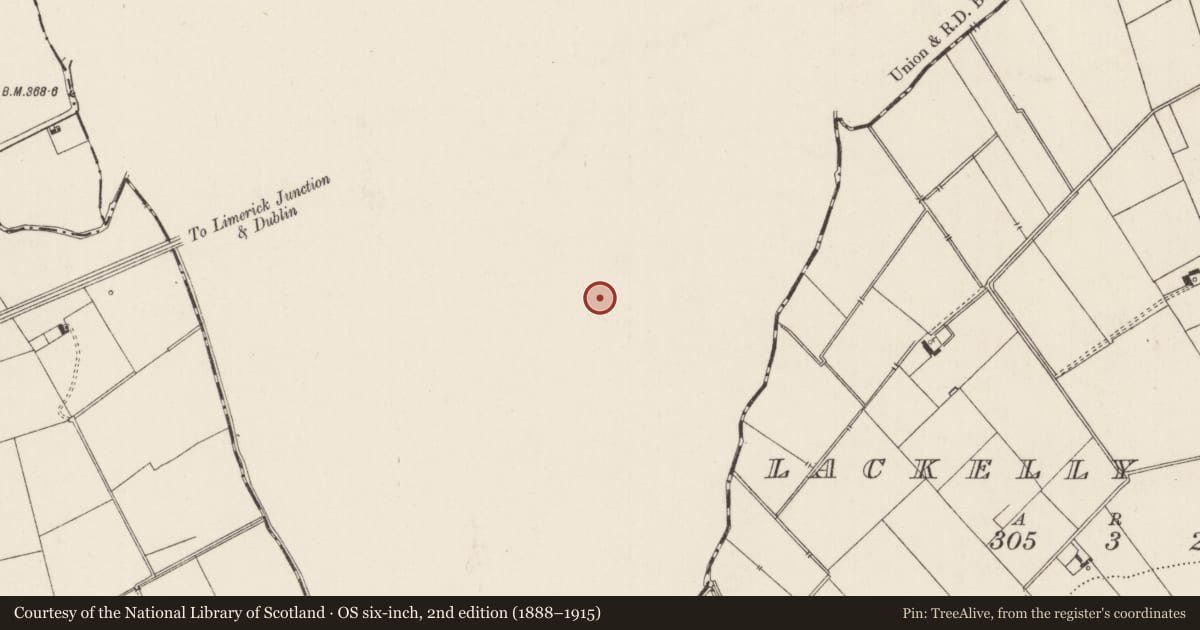 Ordnance Survey six-inch map, 2nd edition (1888–1915) covering the location of Enclosure, Ballyholahan West, County Tipperary South, with a pin at the register's coordinates