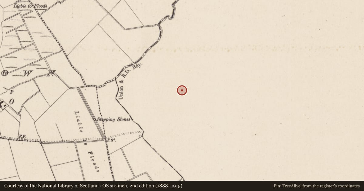 Ordnance Survey six-inch map, 2nd edition (1888–1915) covering the location of Barrow - ditch barrow, Ballyvistea, County Tipperary South, with a pin at the register's coordinates