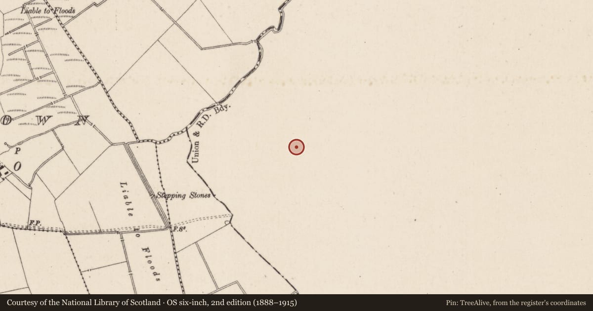 Ordnance Survey six-inch map, 2nd edition (1888–1915) covering the location of Barrow - ditch barrow, Ballyvistea, County Tipperary South, with a pin at the register's coordinates