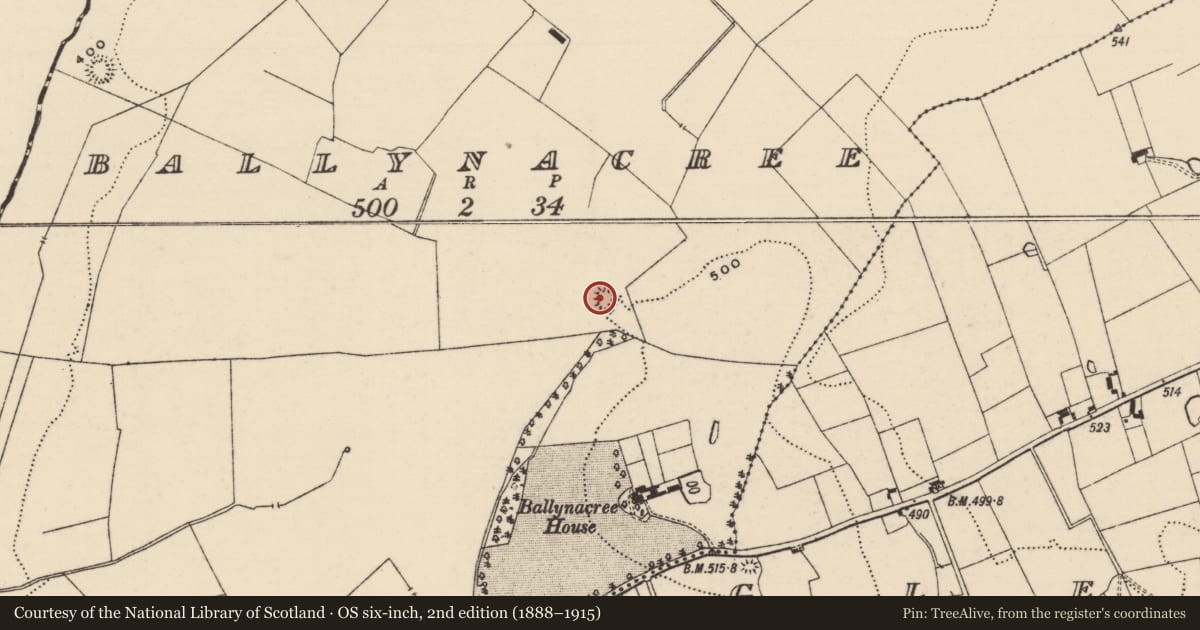 Ordnance Survey six-inch map, 2nd edition (1888–1915) covering the location of Ringfort - rath, Ballynacree, County Tipperary South, with a pin at the register's coordinates
