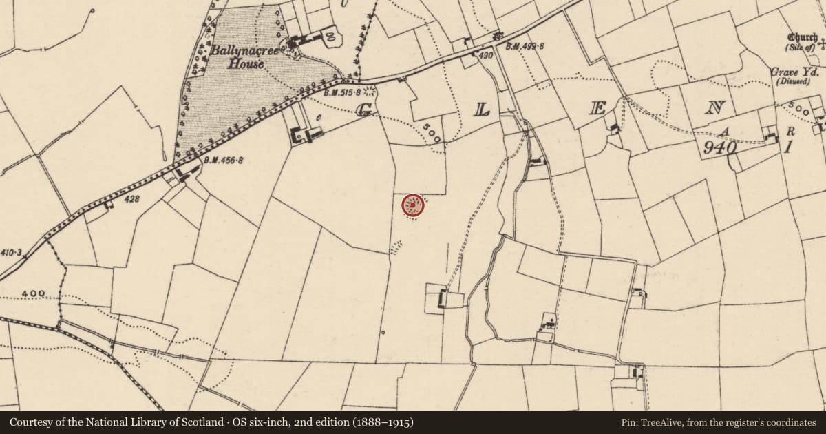 Ordnance Survey six-inch map, 2nd edition (1888–1915) covering the location of Ringfort - rath, Glenbane, County Tipperary South, with a pin at the register's coordinates