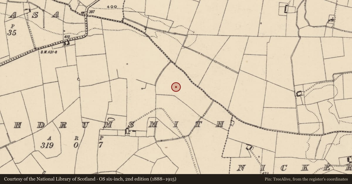 Ordnance Survey six-inch map, 2nd edition (1888–1915) covering the location of Ring-ditch, Clashdrumsmith, County Tipperary South, with a pin at the register's coordinates