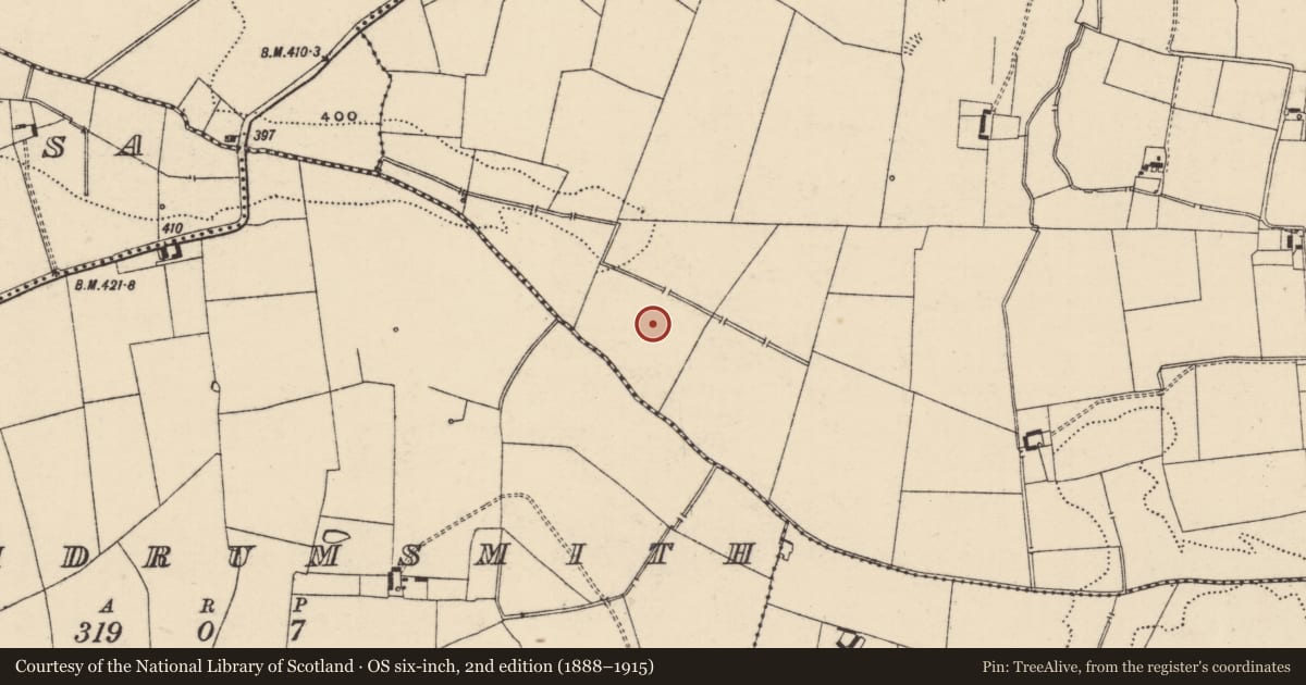 Ordnance Survey six-inch map, 2nd edition (1888–1915) covering the location of Ring-ditch, Glenbane, County Tipperary South, with a pin at the register's coordinates