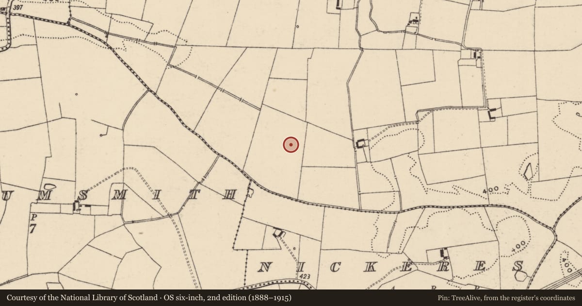 Ordnance Survey six-inch map, 2nd edition (1888–1915) covering the location of Barrow - unclassified, Glenbane, County Tipperary South, with a pin at the register's coordinates