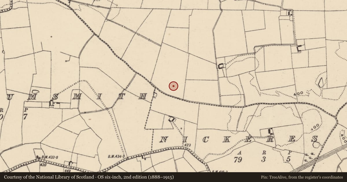 Ordnance Survey six-inch map, 2nd edition (1888–1915) covering the location of Ring-ditch, Glenbane, County Tipperary South, with a pin at the register's coordinates