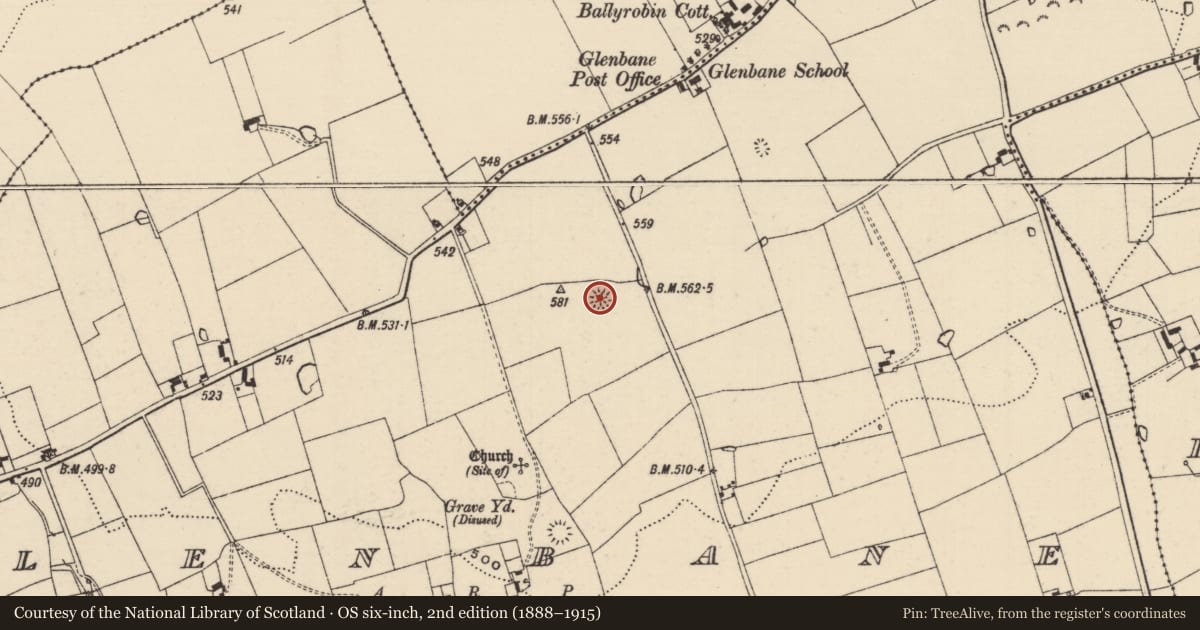 Ordnance Survey six-inch map, 2nd edition (1888–1915) covering the location of Ringfort - rath, Glenbane, County Tipperary South, with a pin at the register's coordinates