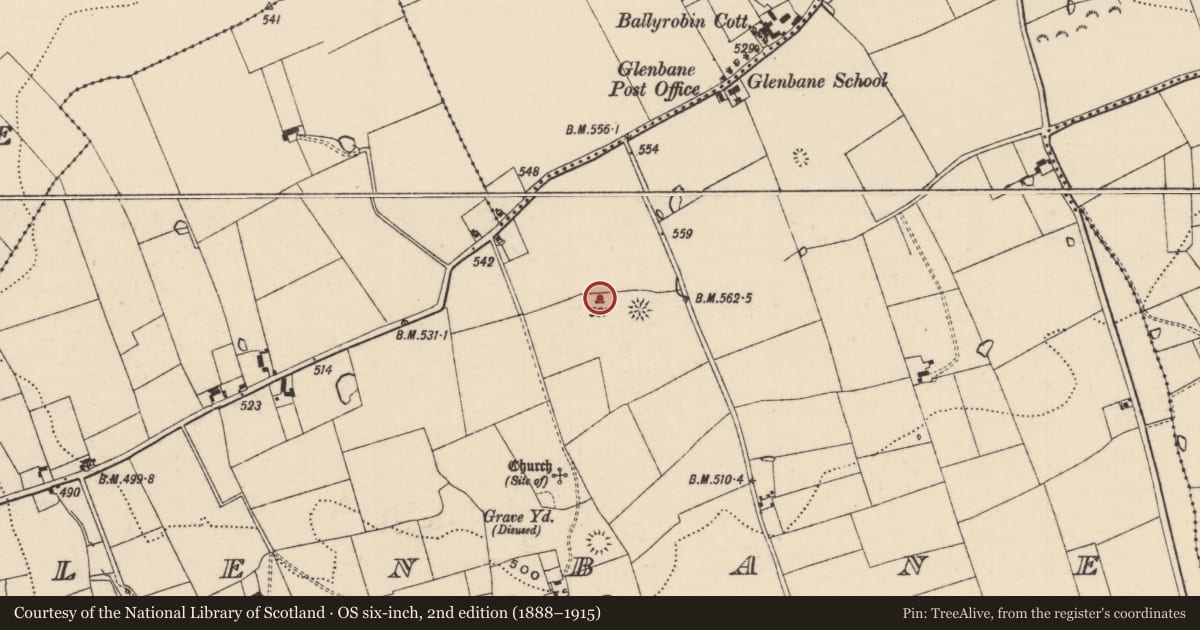 Ordnance Survey six-inch map, 2nd edition (1888–1915) covering the location of Barrow - mound barrow, Glenbane, County Tipperary South, with a pin at the register's coordinates