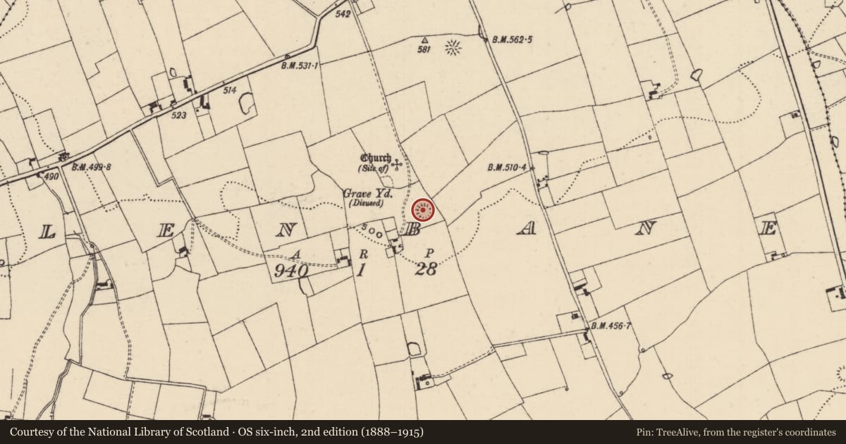 Ordnance Survey six-inch map, 2nd edition (1888–1915) covering the location of Castle - ringwork, Glenbane, County Tipperary South, with a pin at the register's coordinates