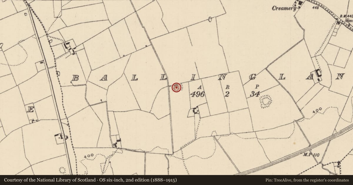 Ordnance Survey six-inch map, 2nd edition (1888–1915) covering the location of Ringfort - rath, Ballinglanna, County Tipperary South, with a pin at the register's coordinates