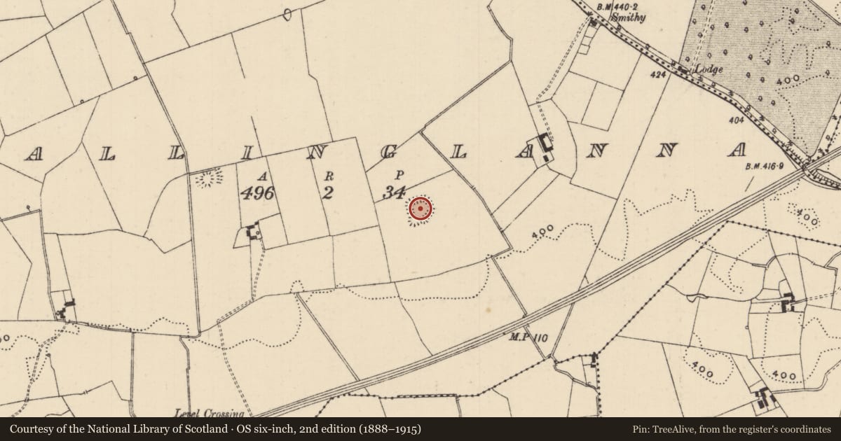 Ordnance Survey six-inch map, 2nd edition (1888–1915) covering the location of Castle - ringwork, Ballinglanna, County Tipperary South, with a pin at the register's coordinates