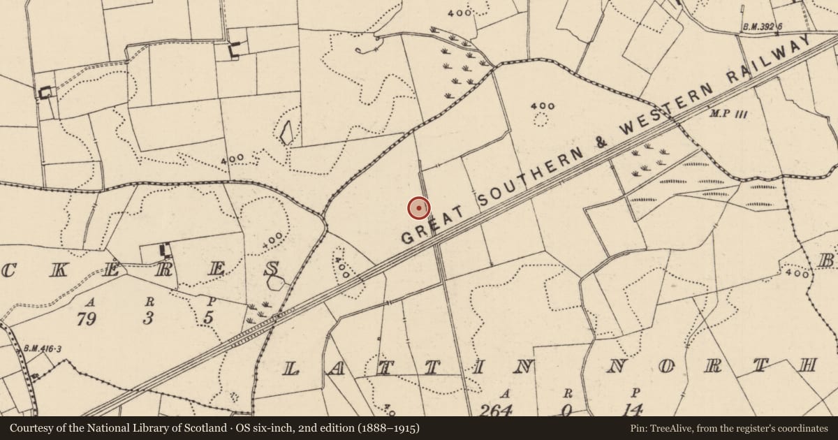 Ordnance Survey six-inch map, 2nd edition (1888–1915) covering the location of Ring-ditch, Lattin North, County Tipperary South, with a pin at the register's coordinates