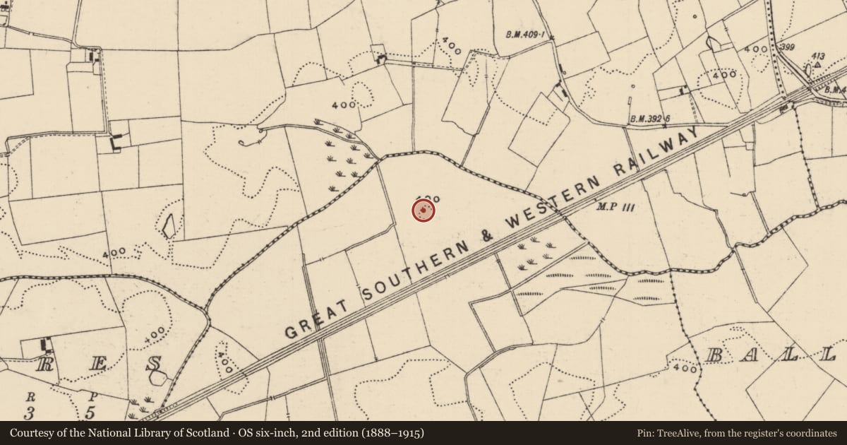 Ordnance Survey six-inch map, 2nd edition (1888–1915) covering the location of Enclosure, Lattin North, County Tipperary South, with a pin at the register's coordinates