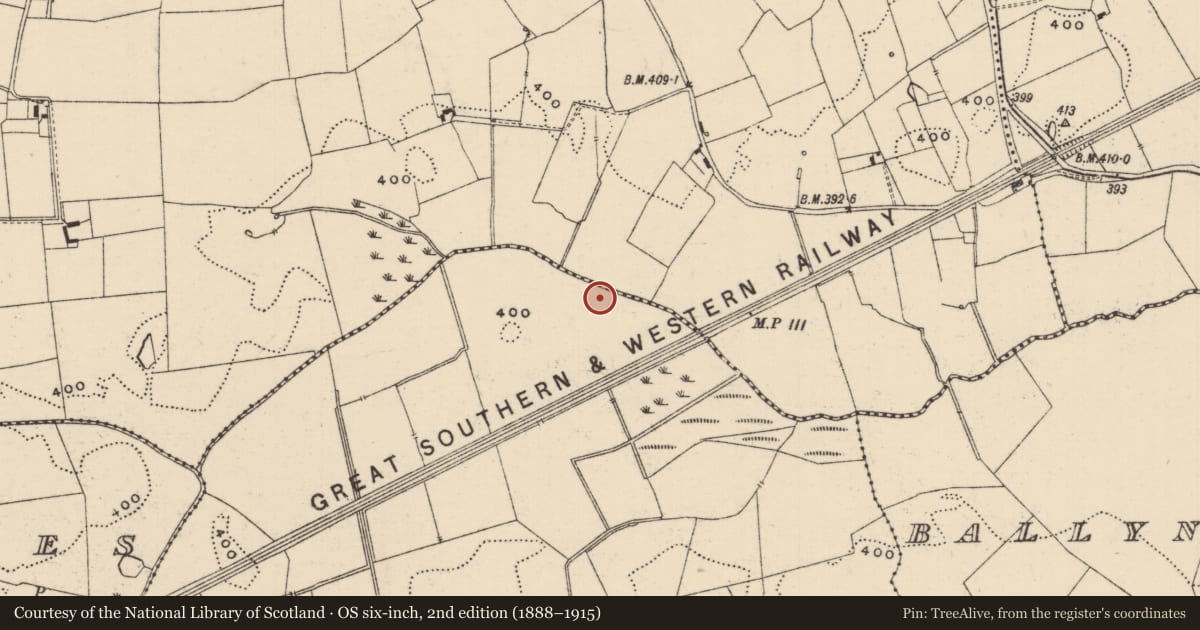Ordnance Survey six-inch map, 2nd edition (1888–1915) covering the location of Barrow - ditch barrow, Lattin North, County Tipperary South, with a pin at the register's coordinates
