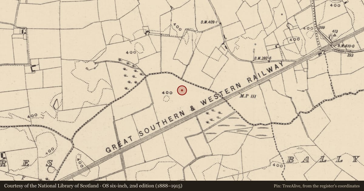 Ordnance Survey six-inch map, 2nd edition (1888–1915) covering the location of Barrow - ditch barrow, Lattin North, County Tipperary South, with a pin at the register's coordinates