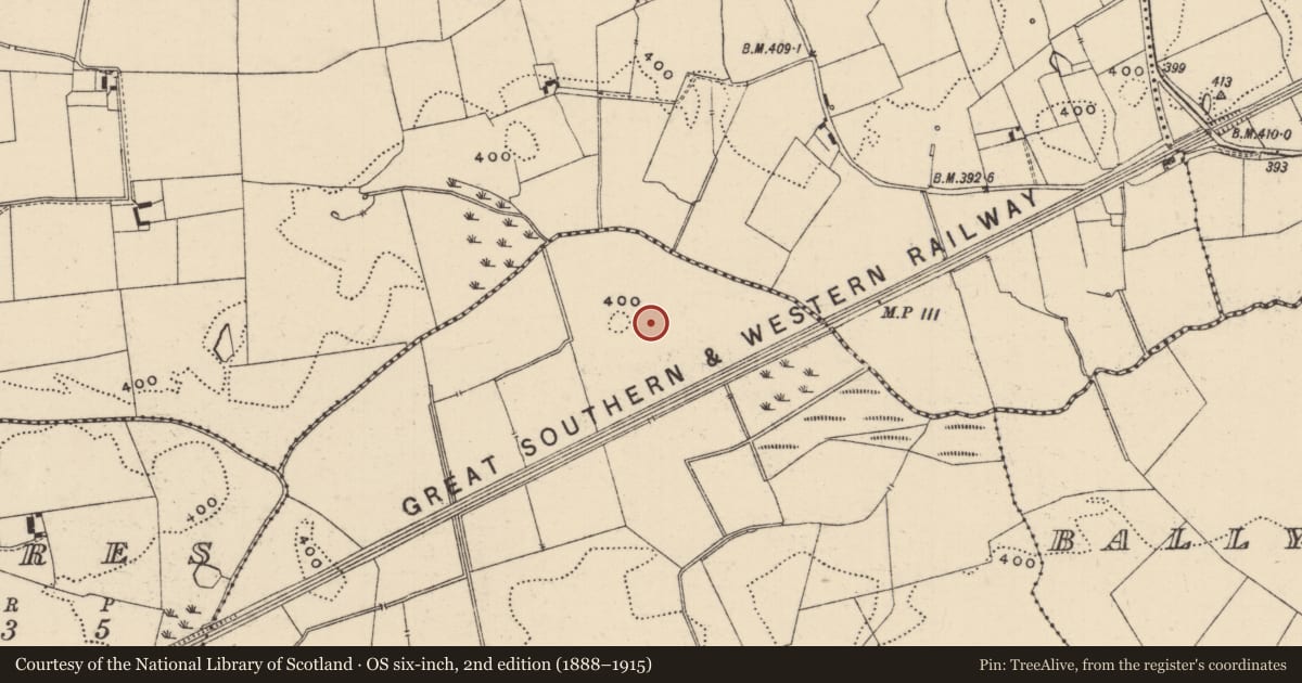 Ordnance Survey six-inch map, 2nd edition (1888–1915) covering the location of Barrow - ditch barrow, Lattin North, County Tipperary South, with a pin at the register's coordinates