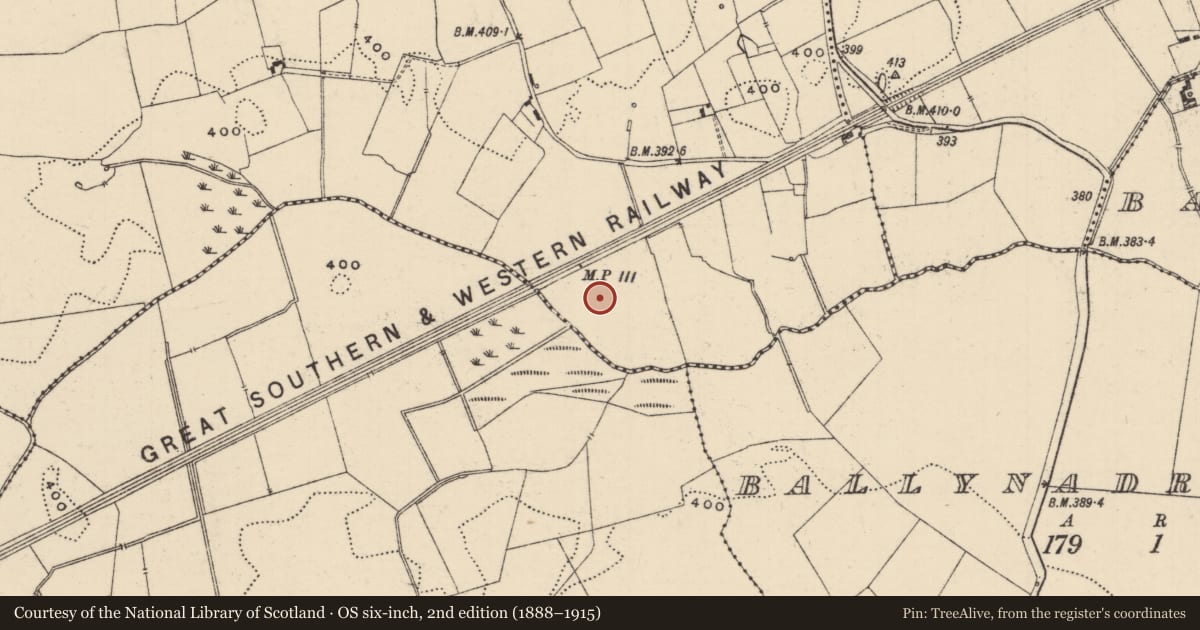 Ordnance Survey six-inch map, 2nd edition (1888–1915) covering the location of Barrow - ditch barrow, Glenbane, County Tipperary South, with a pin at the register's coordinates