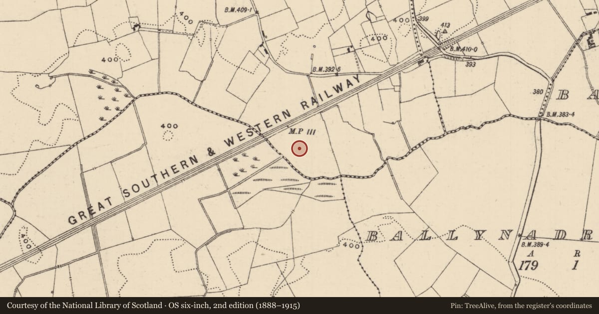 Ordnance Survey six-inch map, 2nd edition (1888–1915) covering the location of Barrow - ditch barrow, Glenbane, County Tipperary South, with a pin at the register's coordinates
