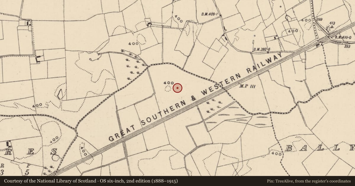 Ordnance Survey six-inch map, 2nd edition (1888–1915) covering the location of Barrow - ditch barrow, Lattin North, County Tipperary South, with a pin at the register's coordinates