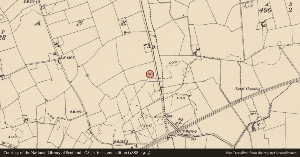 Ordnance Survey six-inch map, 2nd edition (1888–1915) covering the location of Ringfort - rath, Glenbane, County Tipperary South, with a pin at the register's coordinates