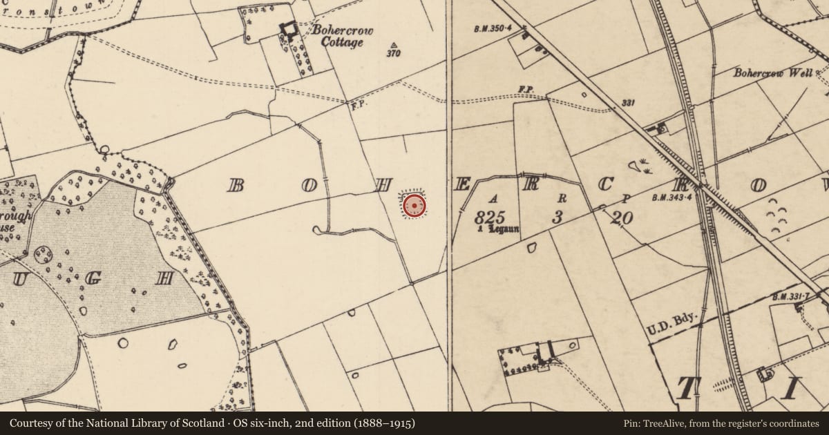 Ordnance Survey six-inch map, 2nd edition (1888–1915) covering the location of Moated site, Bohercrow, County Tipperary South, with a pin at the register's coordinates