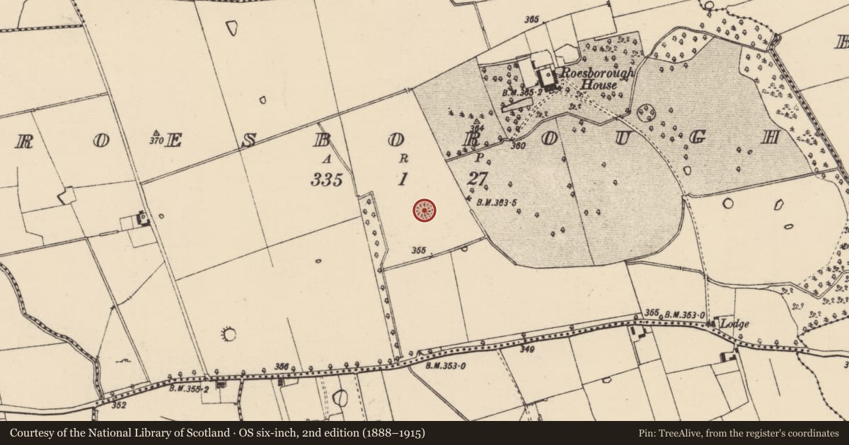 Ordnance Survey six-inch map, 2nd edition (1888–1915) covering the location of Ringfort - rath, Roesborough, County Tipperary South, with a pin at the register's coordinates
