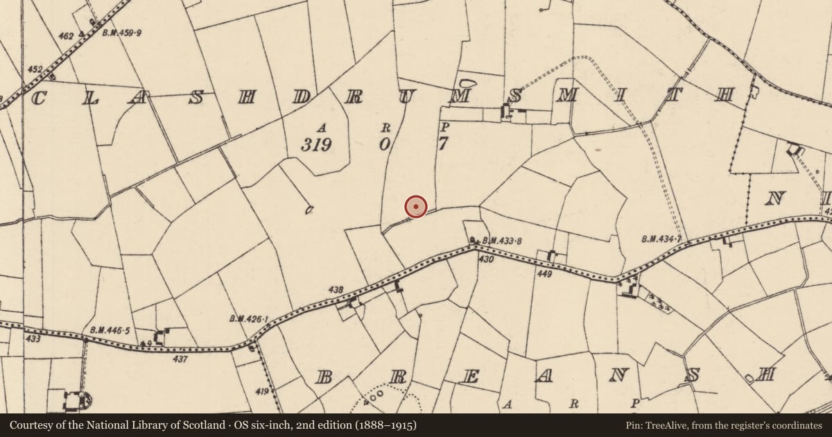 Ordnance Survey six-inch map, 2nd edition (1888–1915) covering the location of Ring-ditch, Clashdrumsmith, County Tipperary South, with a pin at the register's coordinates