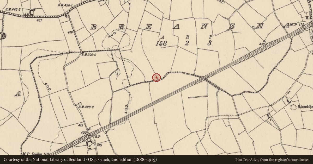 Ordnance Survey six-inch map, 2nd edition (1888–1915) covering the location of Ring-ditch, Breansha, County Tipperary South, with a pin at the register's coordinates