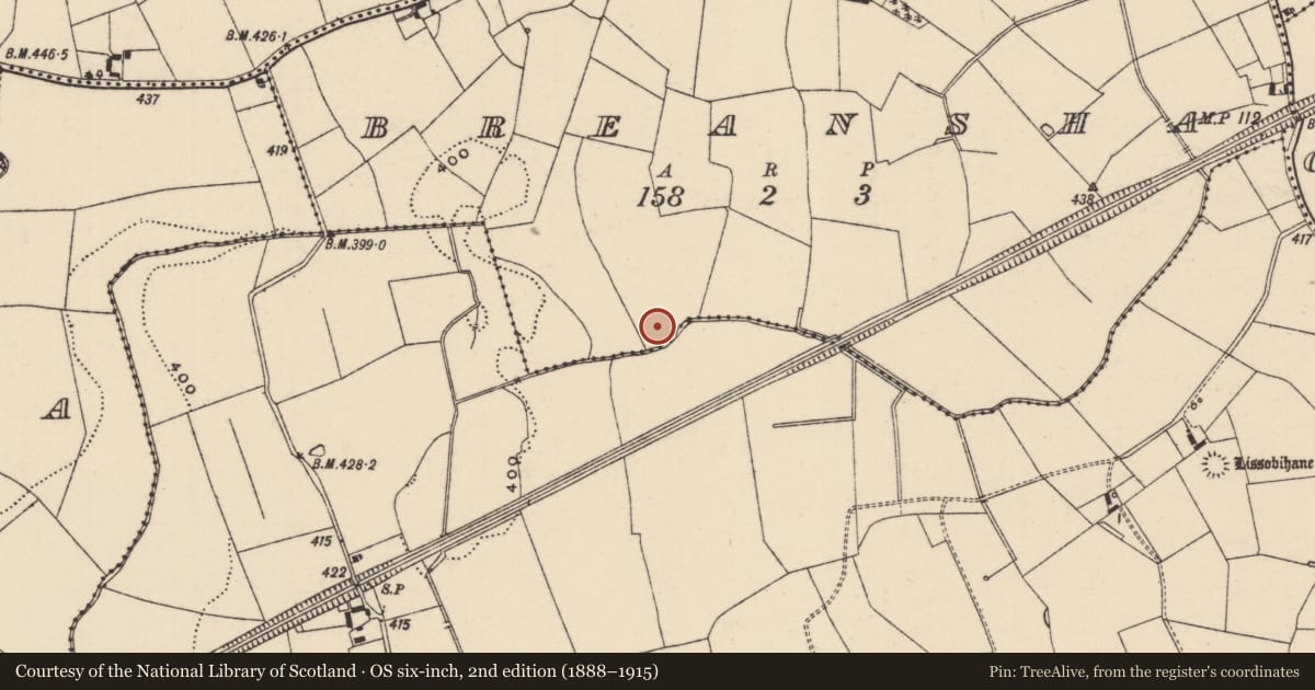 Ordnance Survey six-inch map, 2nd edition (1888–1915) covering the location of Ring-ditch, Breansha, County Tipperary South, with a pin at the register's coordinates