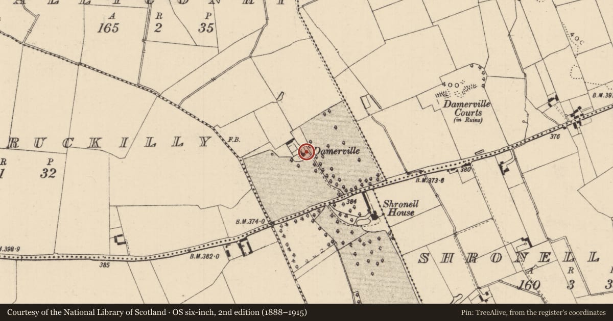 Ordnance Survey six-inch map, 2nd edition (1888–1915) covering the location of Bullaun stone, Ballyconry, County Tipperary South, with a pin at the register's coordinates