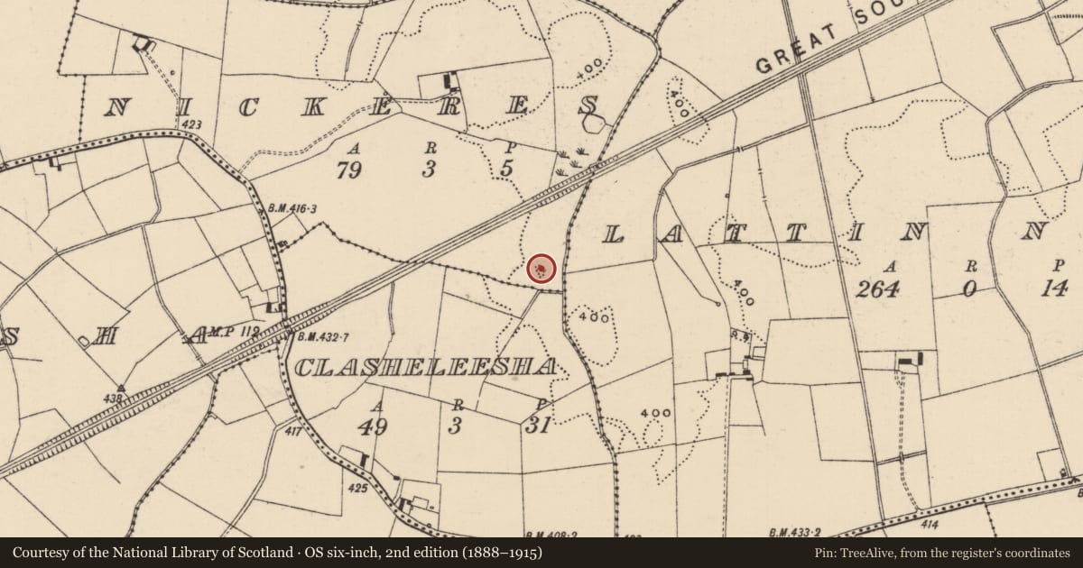 Ordnance Survey six-inch map, 2nd edition (1888–1915) covering the location of Enclosure, Nickeres, County Tipperary South, with a pin at the register's coordinates