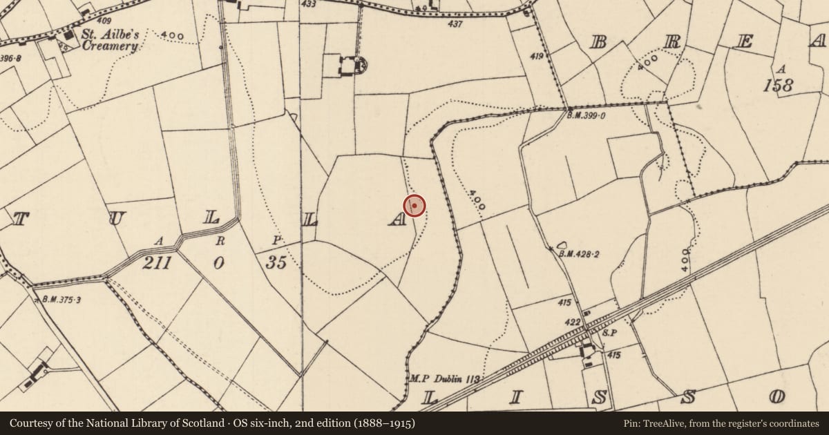 Ordnance Survey six-inch map, 2nd edition (1888–1915) covering the location of Ring-ditch, Tulla (Emly Par.), County Tipperary South, with a pin at the register's coordinates