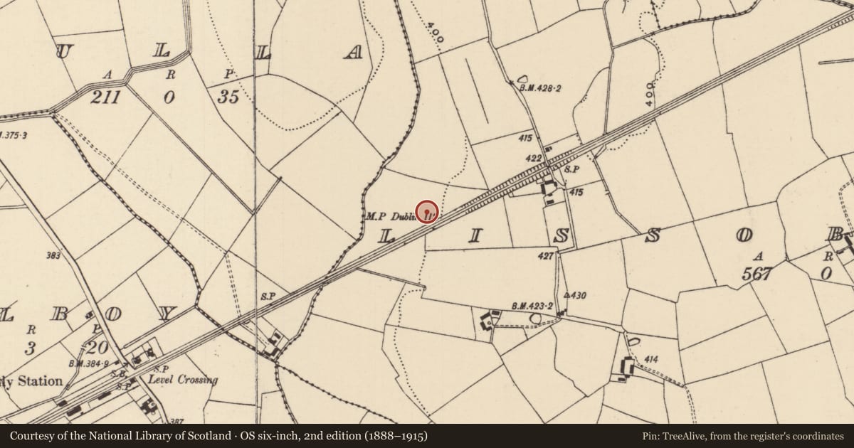 Ordnance Survey six-inch map, 2nd edition (1888–1915) covering the location of Enclosure, Lissobihane, County Tipperary South, with a pin at the register's coordinates