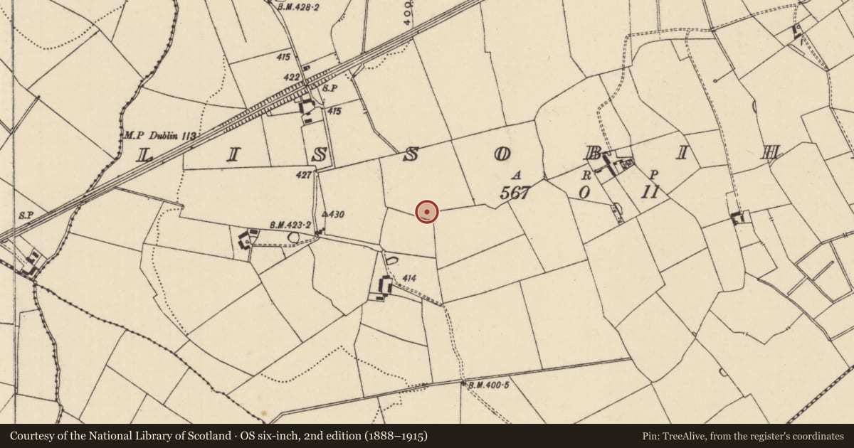 Ordnance Survey six-inch map, 2nd edition (1888–1915) covering the location of Barrow - ditch barrow, Lissobihane, County Tipperary South, with a pin at the register's coordinates