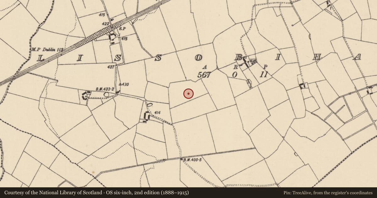 Ordnance Survey six-inch map, 2nd edition (1888–1915) covering the location of Enclosure, Lissobihane, County Tipperary South, with a pin at the register's coordinates