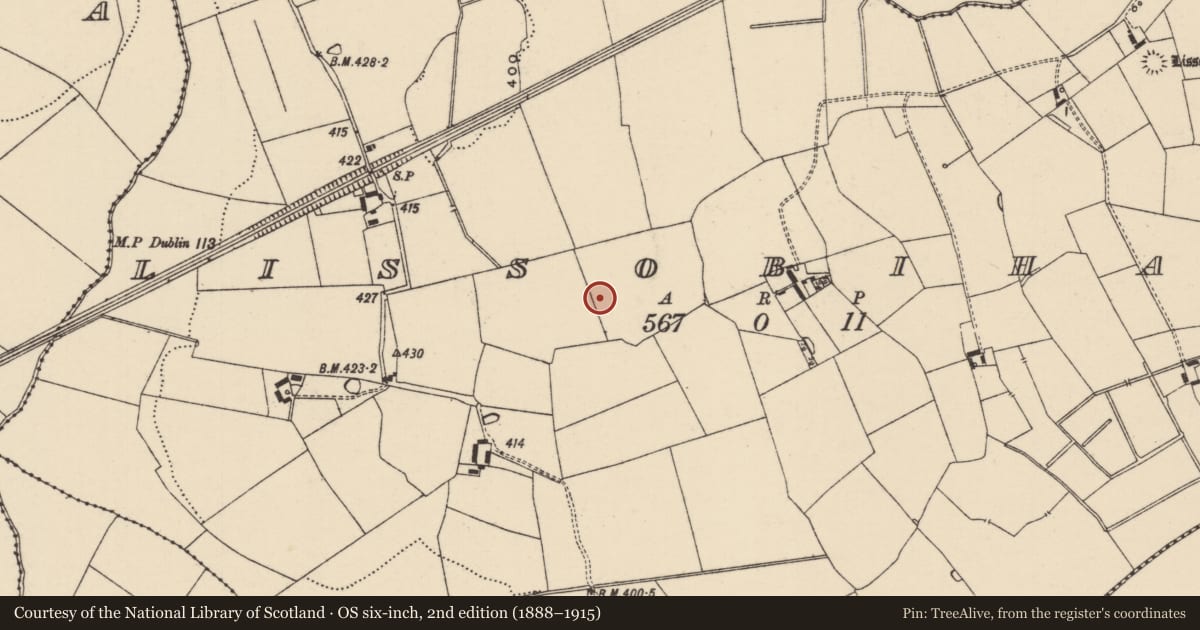 Ordnance Survey six-inch map, 2nd edition (1888–1915) covering the location of Enclosure, Lissobihane, County Tipperary South, with a pin at the register's coordinates