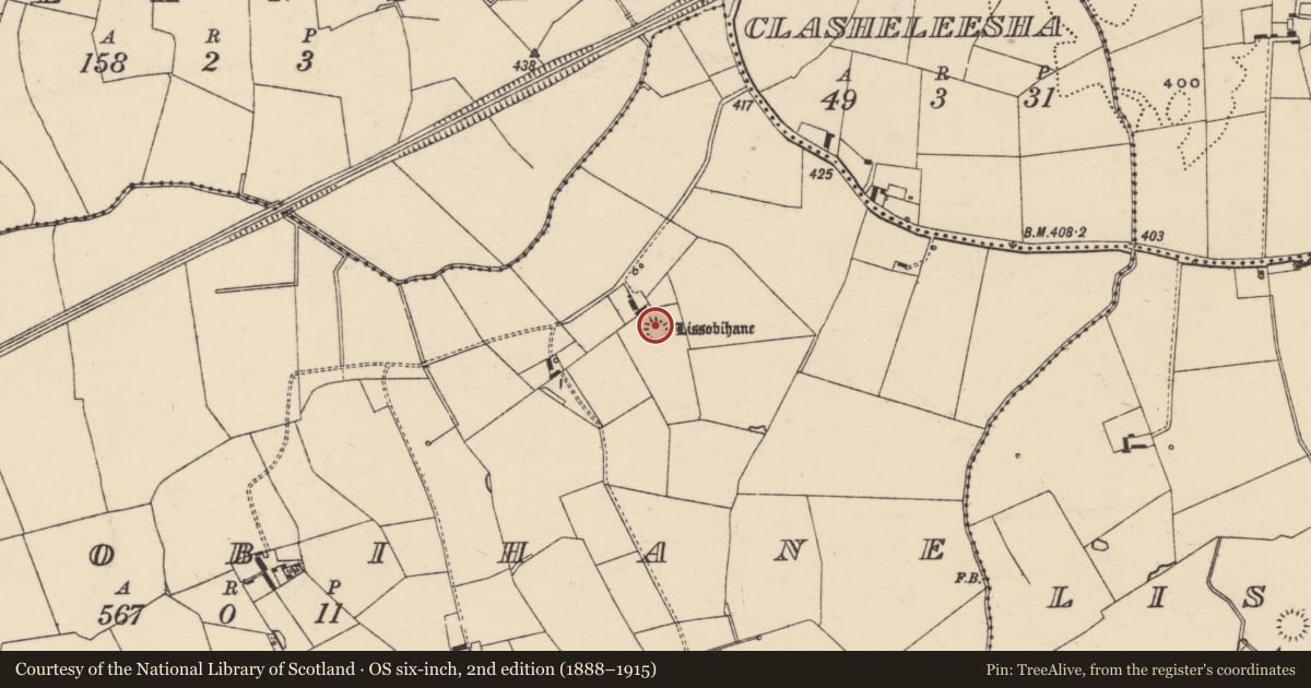 Ordnance Survey six-inch map, 2nd edition (1888–1915) covering the location of Ringfort - rath, Lissobihane, County Tipperary South, with a pin at the register's coordinates